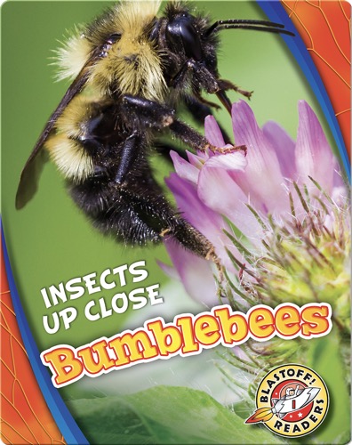 Bumblebees