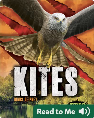 Kites