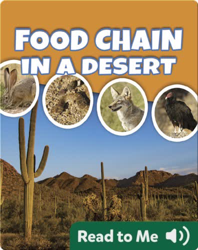 Food Chain In A Desert