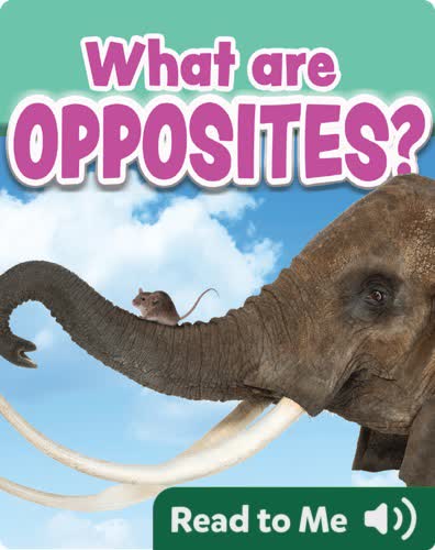 What are Opposites?