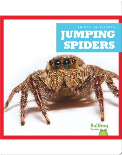 Jumping Spiders