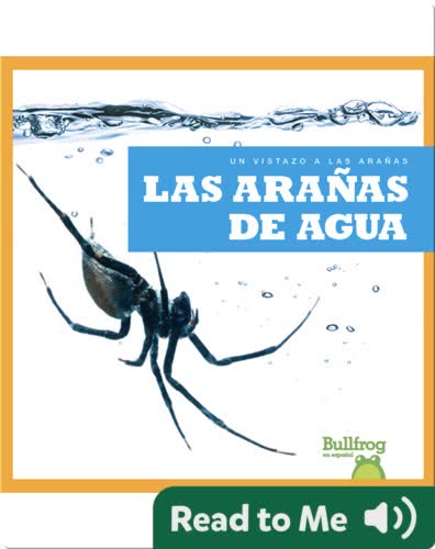 Las arañas de agua