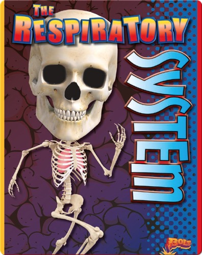 The Respiratory System