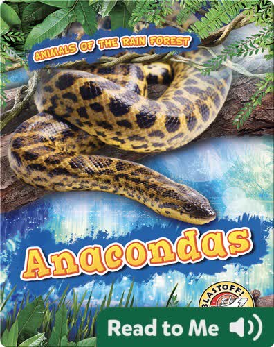 Anacondas