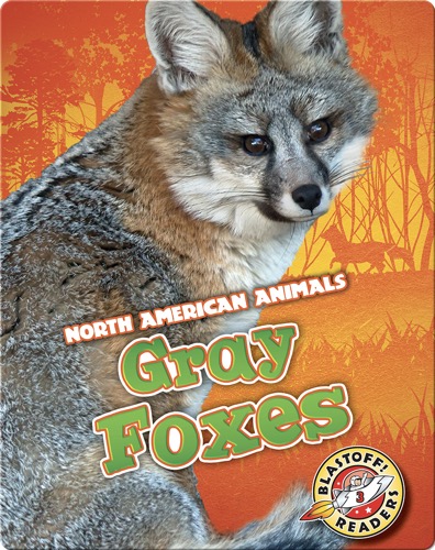 Gray Foxes