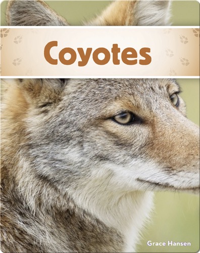 Coyotes