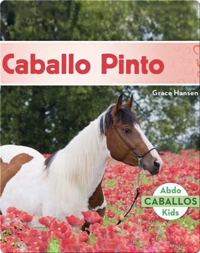 Caballo Pinto