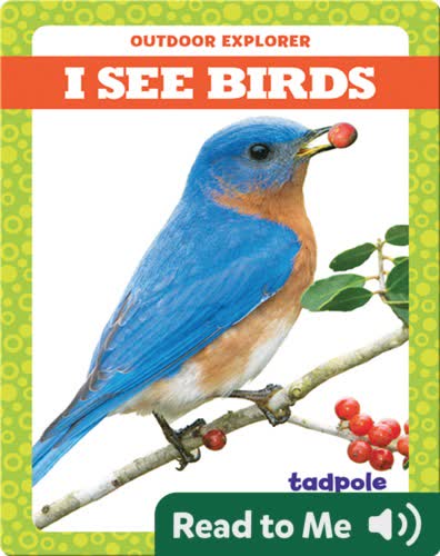 I See Birds
