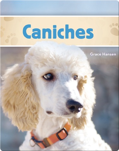 Caniches