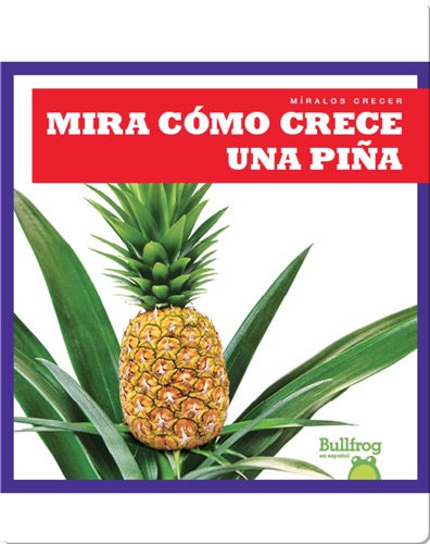 Mira cómo crece una piña (Watch a Pineapple Grow)