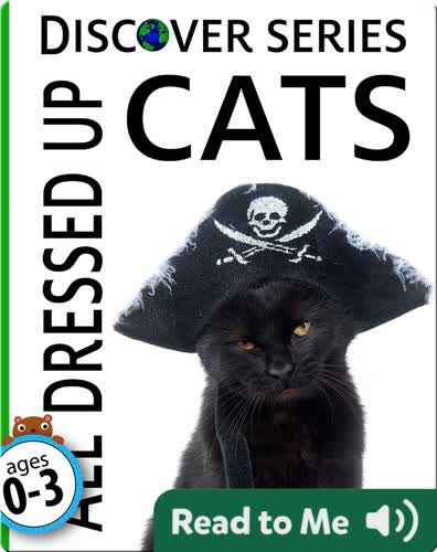 Cats: All Dressed Up