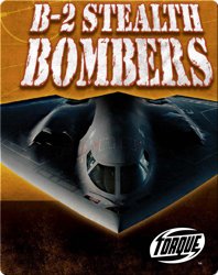 B-2 Stealth Bombers