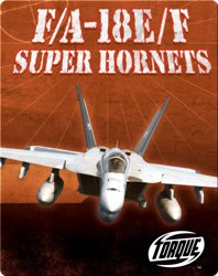 F/A-18E/F Super Hornets