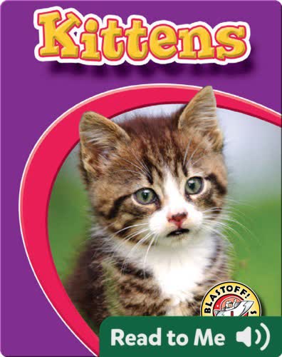 Kittens: Watch Animals Grow