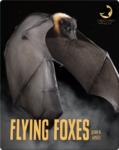 Flying Foxes
