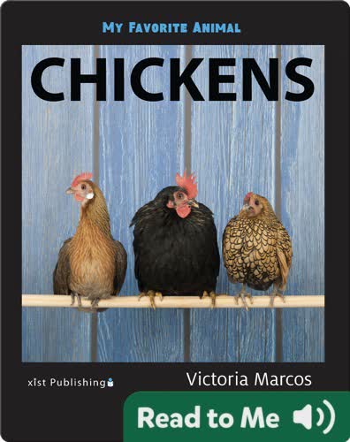 My Favorite Animal: Chickens