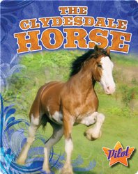 The Clydesdale Horse