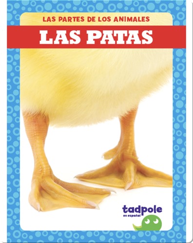 Las partes de los animales: Las patas