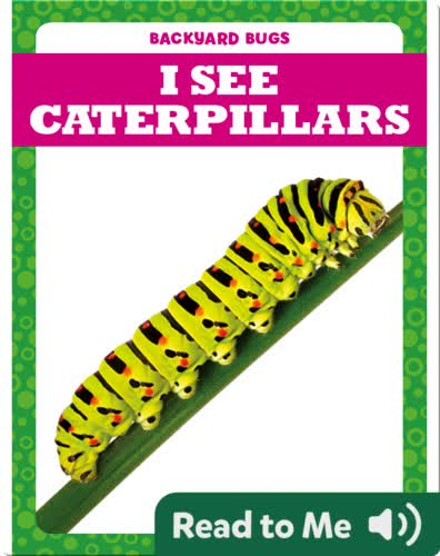 I See Caterpillars