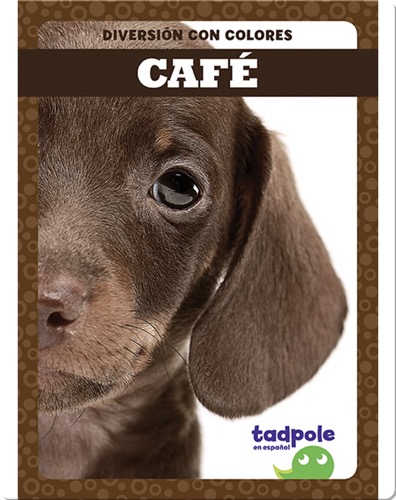 Diversión con colores: Café