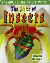 The ABCs of Insects
