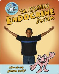 The Exciting Endocrine System