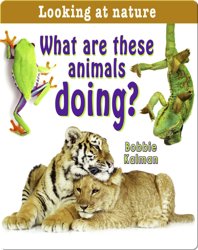 What are these Animals Doing?