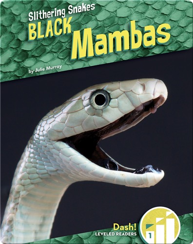 Black Mambas