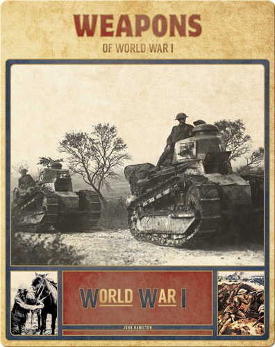Weapons of World War I