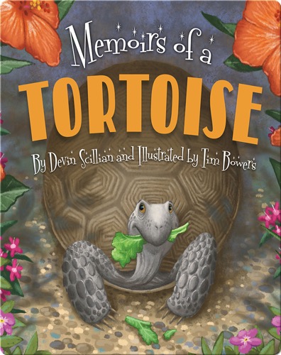 Memoirs of a Tortoise