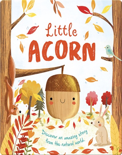 Little Acorn