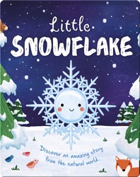 Little Snowflake