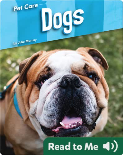 Pet Care: Dogs