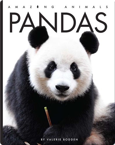 Amazing Animals: Pandas
