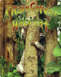 A Rainforest Habitat
