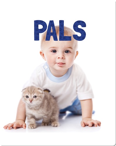 Animal Lovers: Pals