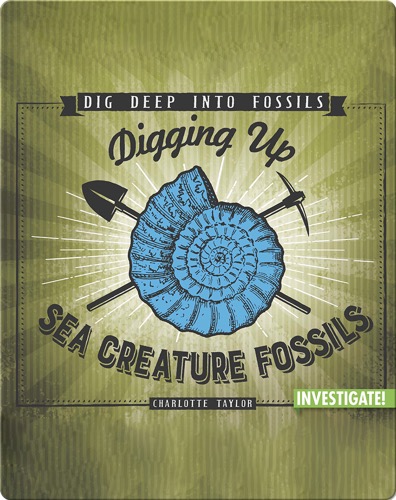 Digging Up Sea Creature Fossils