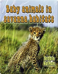 Baby Animals in Savanna Habitats