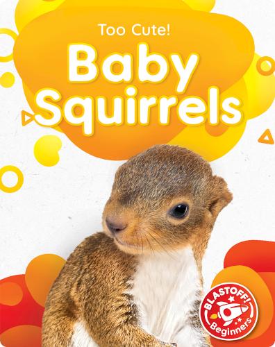 Too Cute!: Baby Squirrels