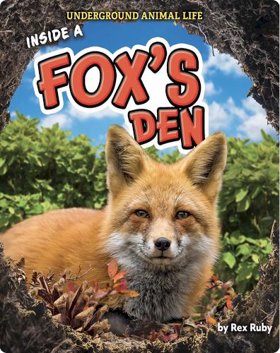 Underground Animal Life: Inside a Fox's Den