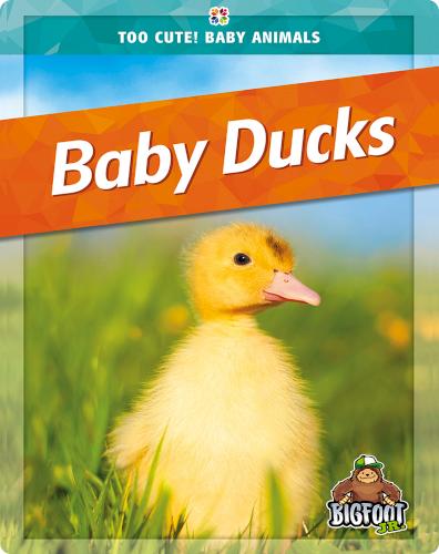 Baby Ducks