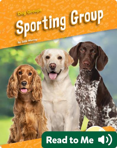 Sporting Group