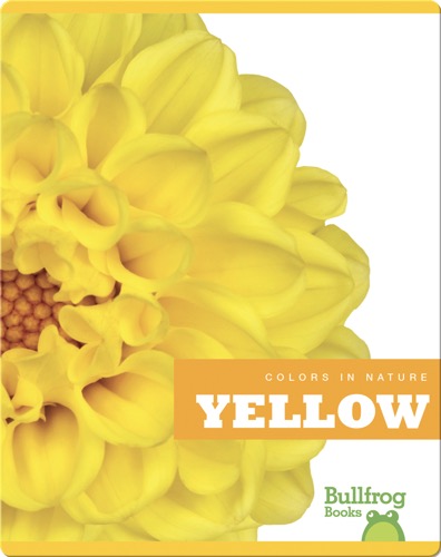 Colors In Nature: Yellow