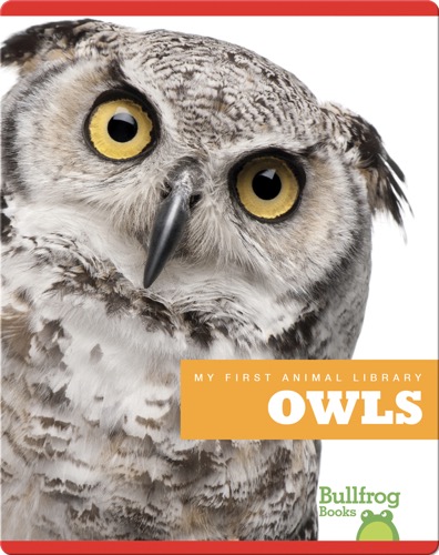 My First Animal Library: Owls