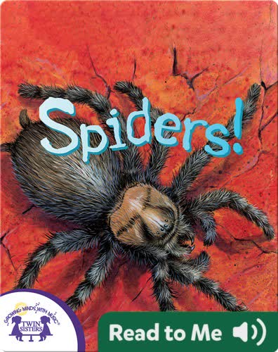 Spiders!