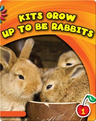 Kits Grow Up To Be Rabbits