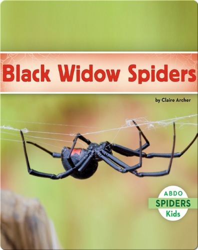 Black Widow Spiders
