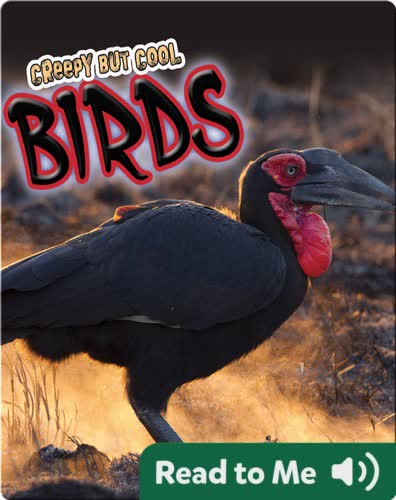 Creepy But Cool Birds