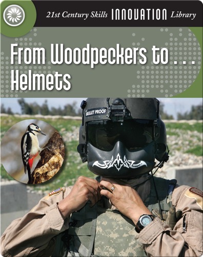 From Woodpeckers to... Helmets