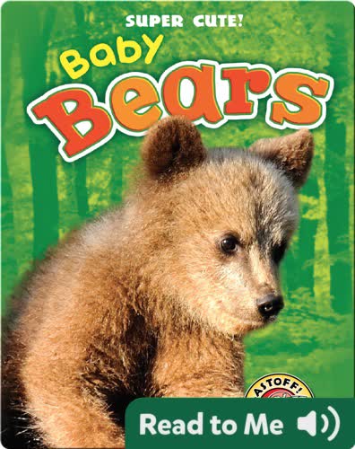 Super Cute! Baby Bears